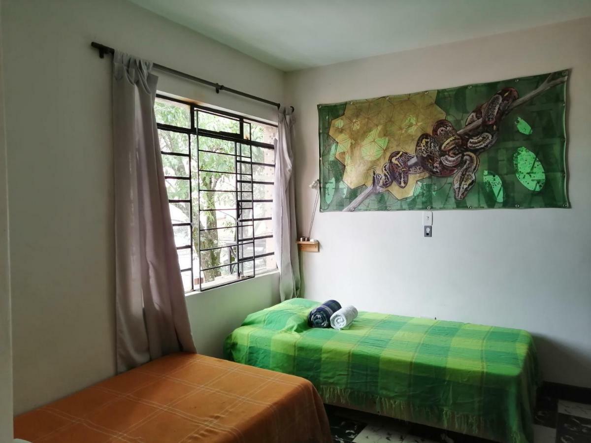 Albergue Selvática Medellín Exterior foto