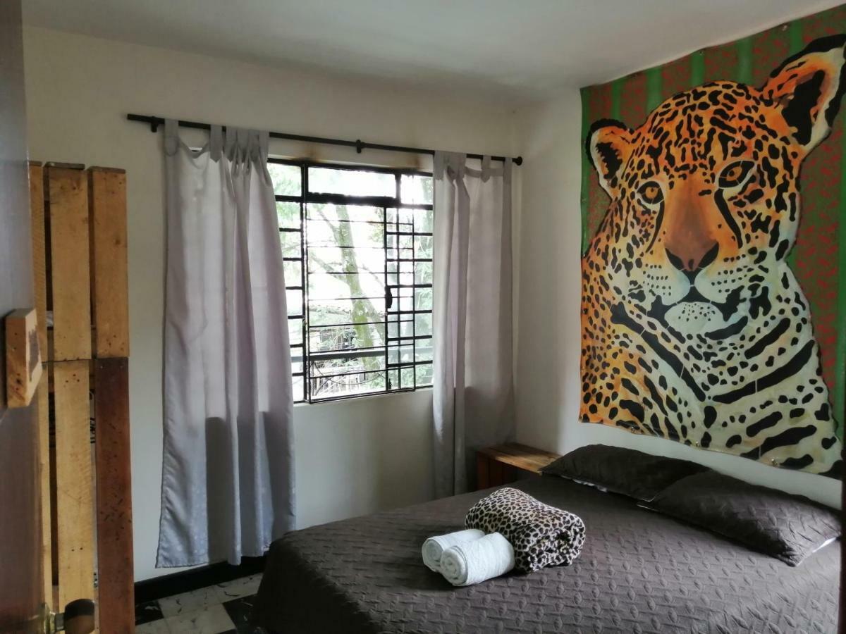 Albergue Selvática Medellín Exterior foto