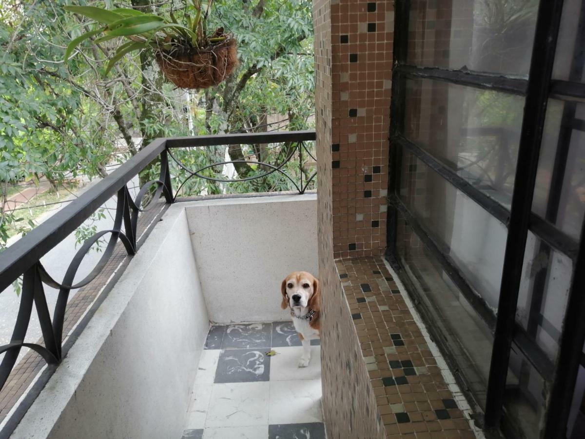 Albergue Selvática Medellín Exterior foto